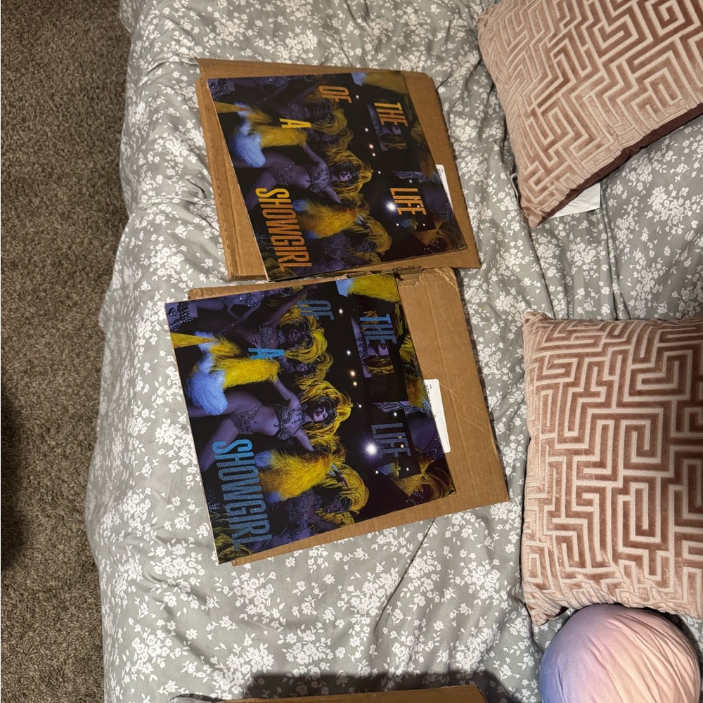 The Life of a Showgirl Vinyl Record